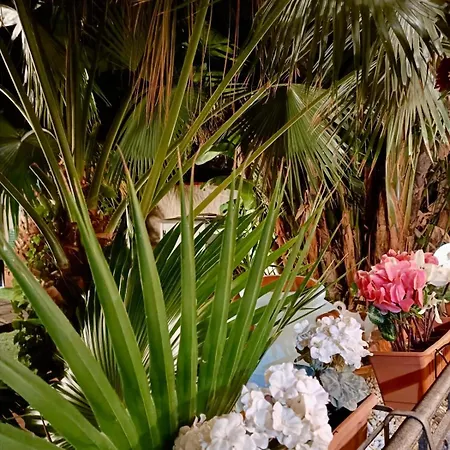 Antonella Mondello Bed & Breakfast