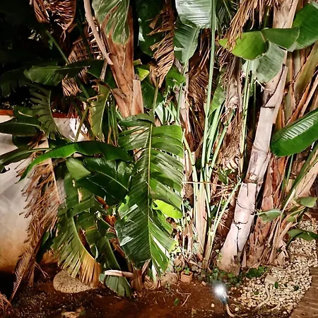 Bed & Breakfast Antonella Mondello 3*