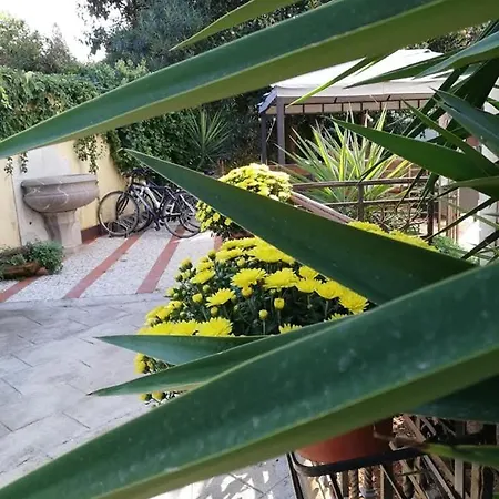 Antonella Mondello Bed & Breakfast Palermo